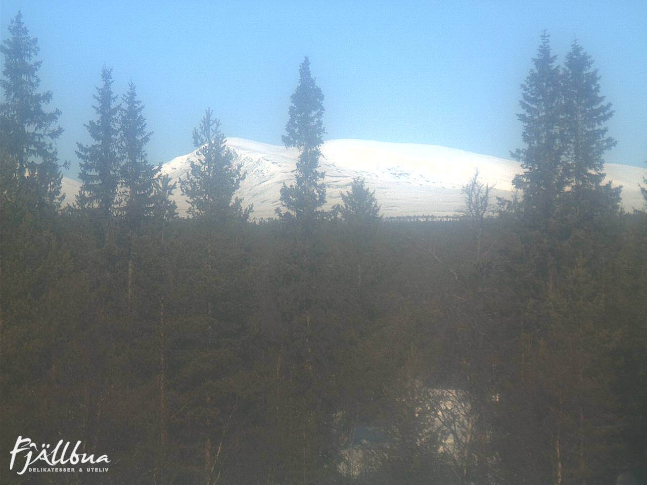 Fjällbua webcam 2025-03-23 10:00