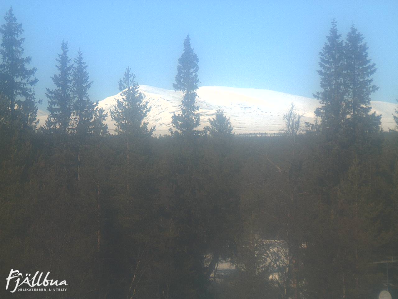 Fjällbua webcam 2025-03-23 12:00