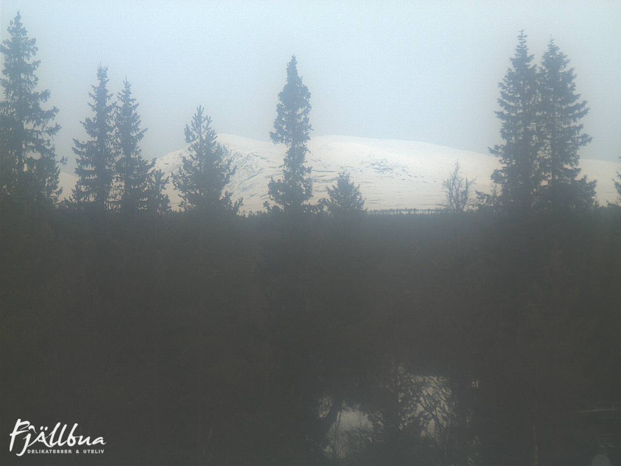 Fjällbua webcam 2025-03-24 10:00