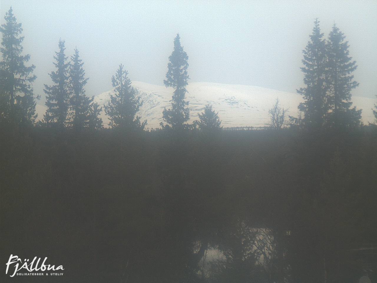Fjällbua webcam 2025-03-24 10:30