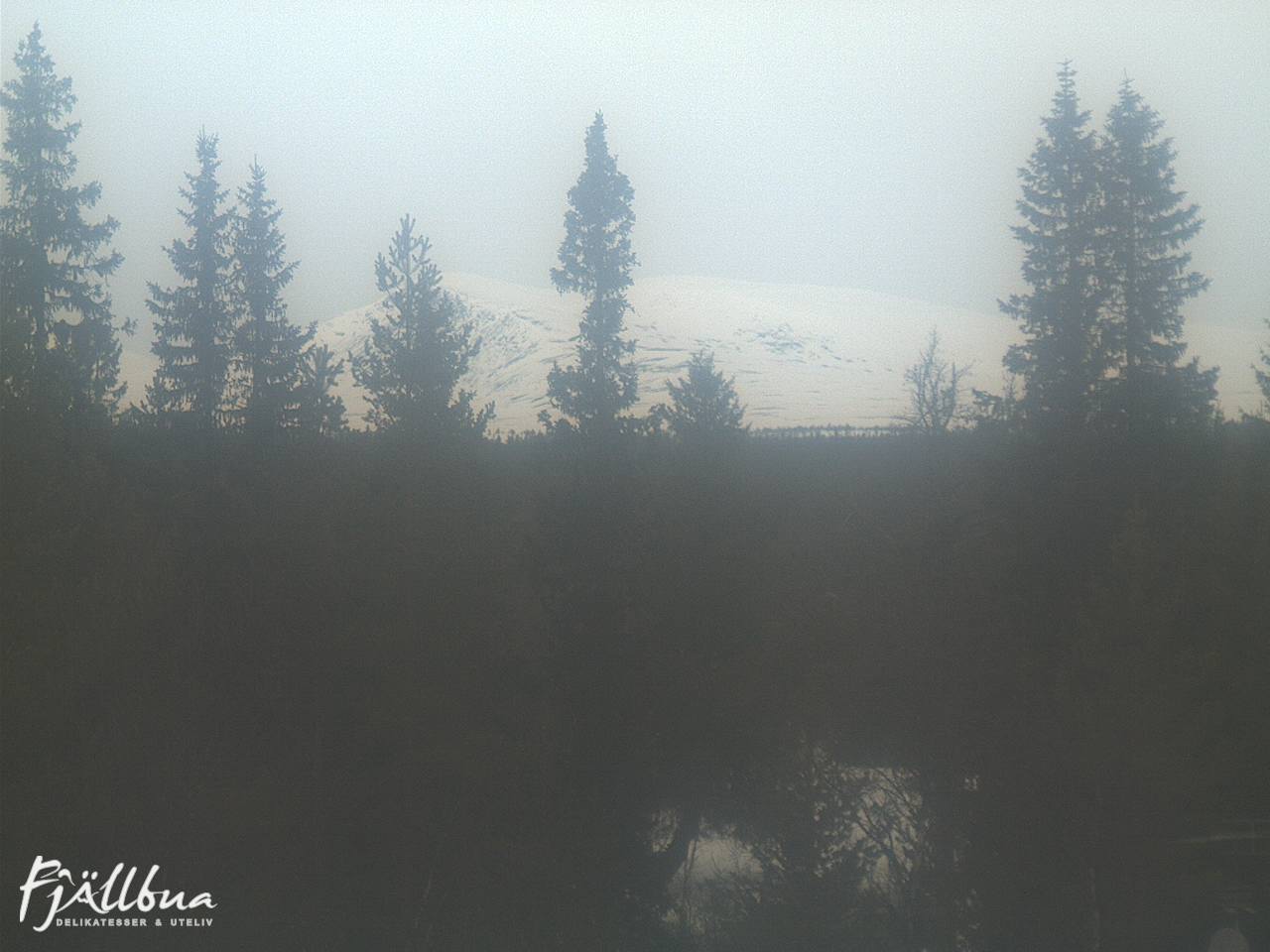 Fjällbua webcam 2025-03-24 11:00