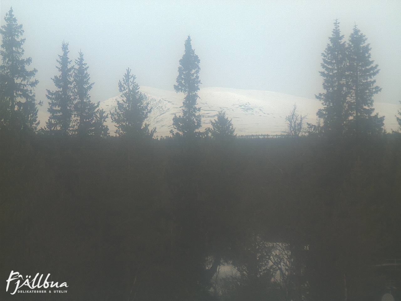 Fjällbua webcam 2025-03-24 11:30