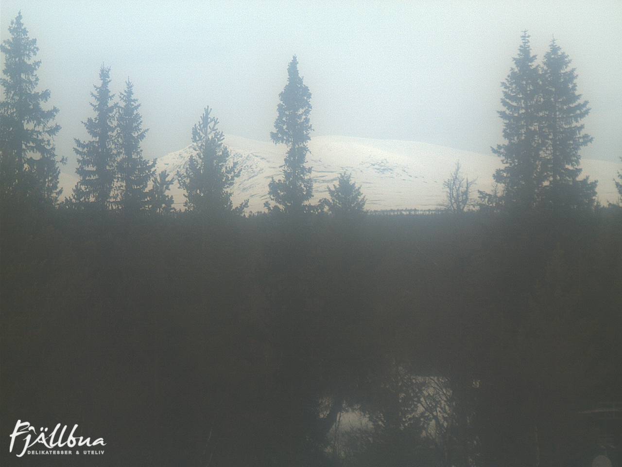 Fjällbua webcam 2025-03-24 12:00
