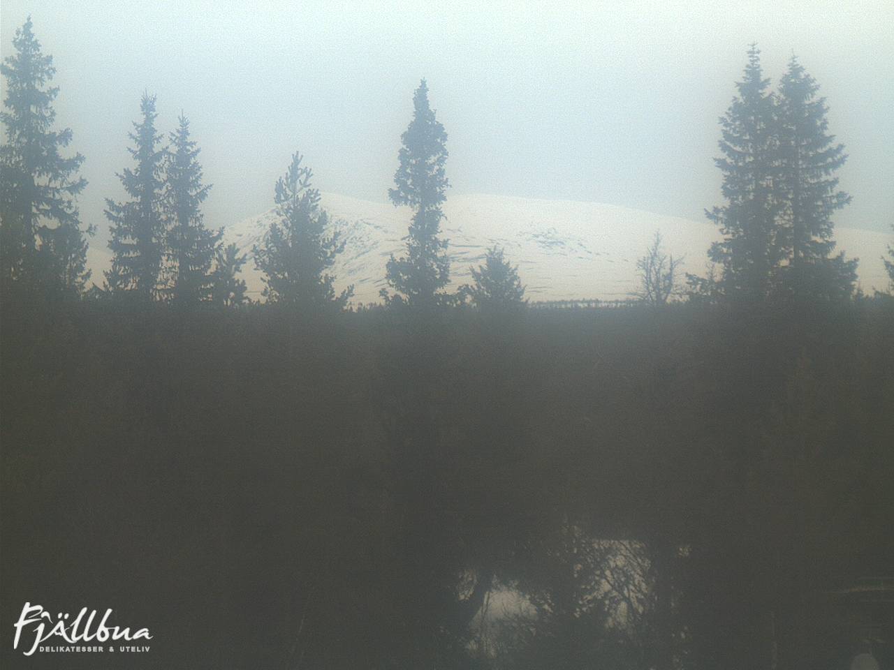 Fjällbua webcam 2025-03-24 12:30