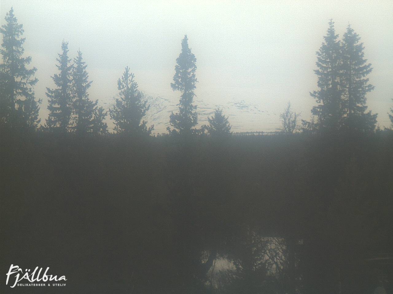 Fjällbua webcam 2025-03-24 13:00