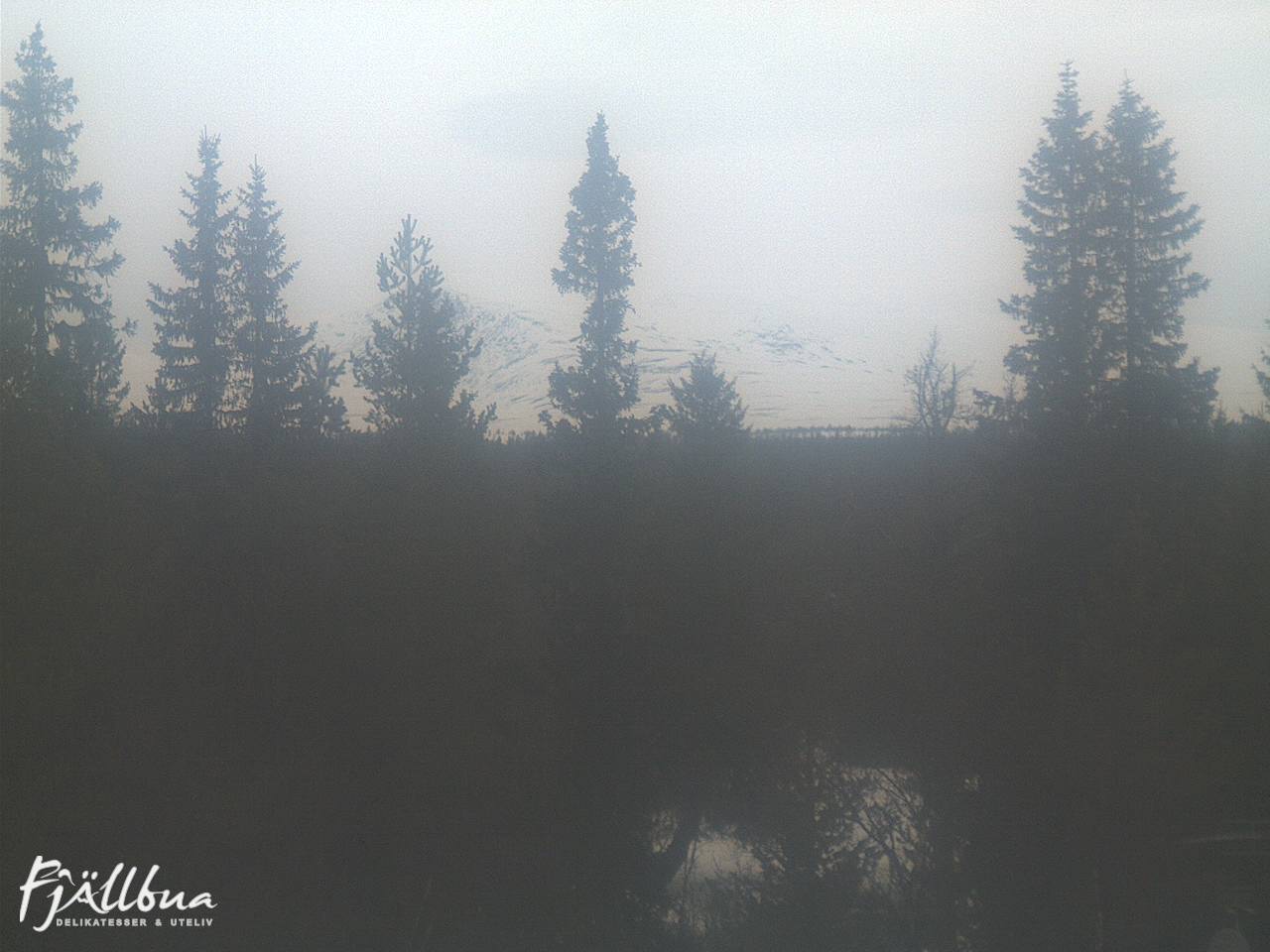 Fjällbua webcam 2025-03-24 13:30