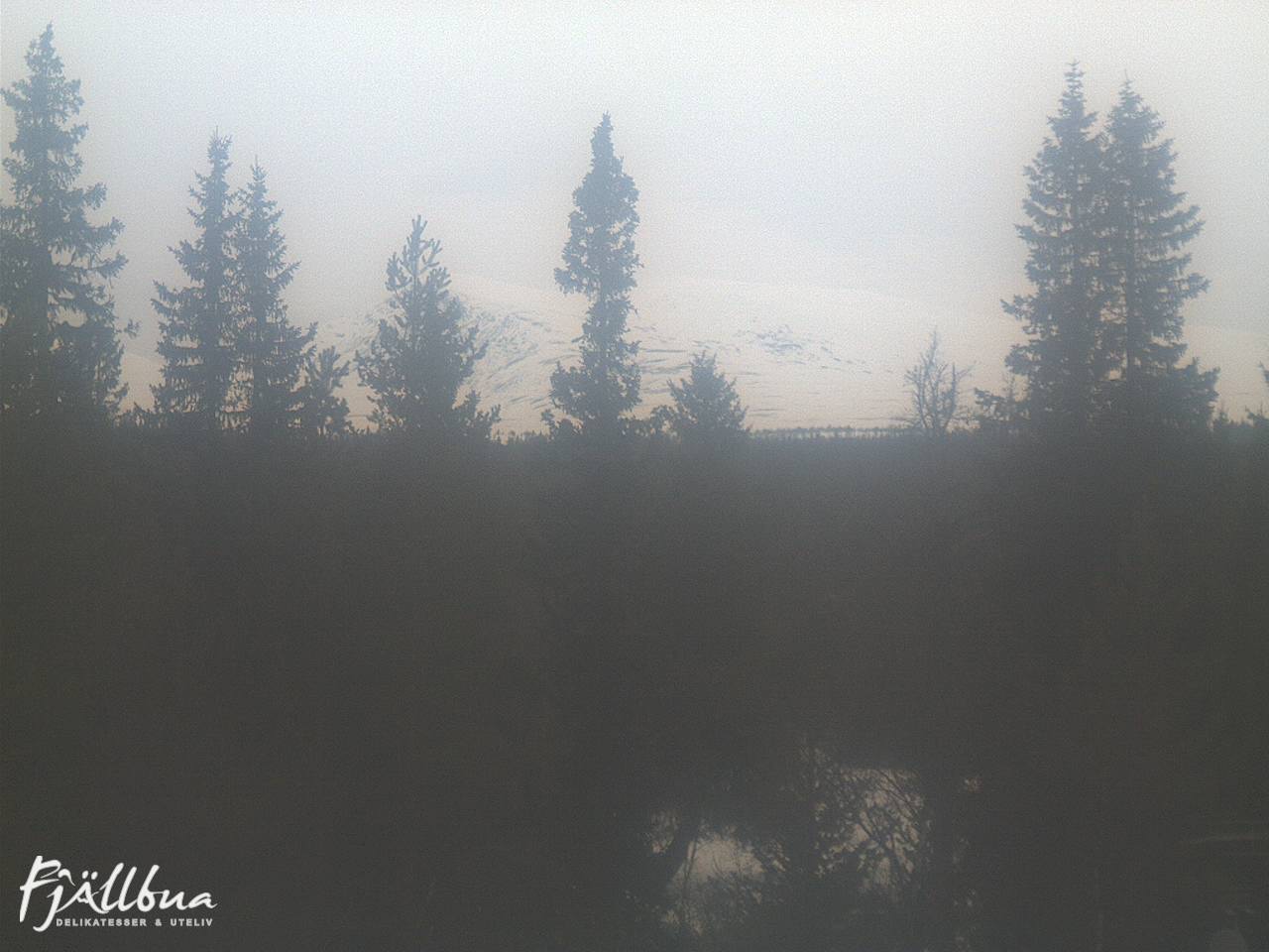 Fjällbua webcam 2025-03-24 14:00