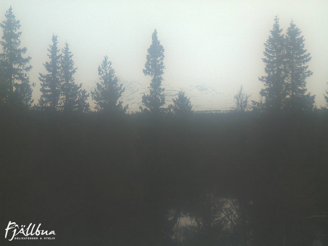 Fjällbua webcam 2025-03-24 15:00