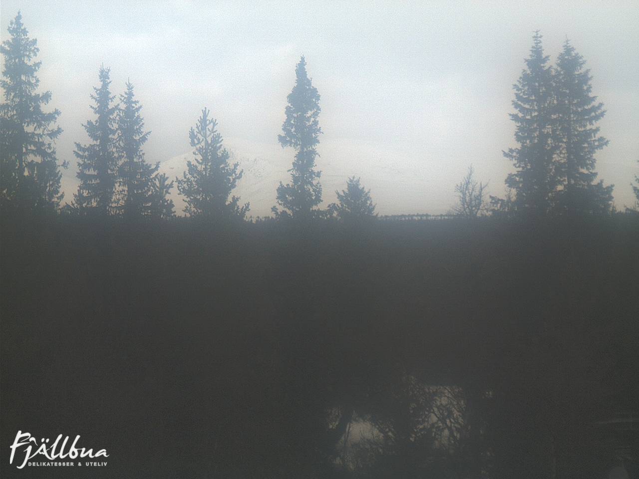 Fjällbua webcam 2025-03-26 10:00