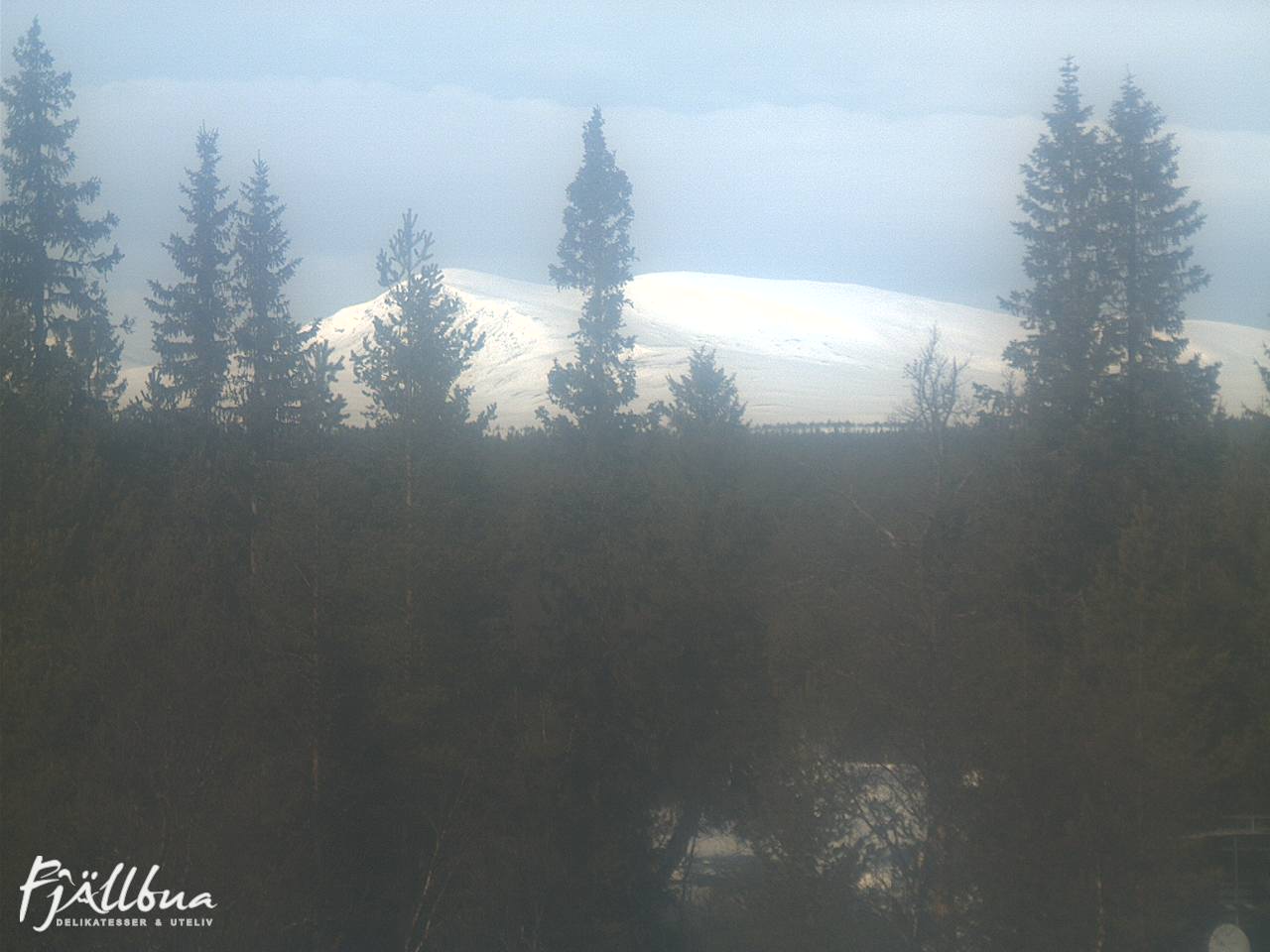 Fjällbua webcam 2025-03-26 12:00
