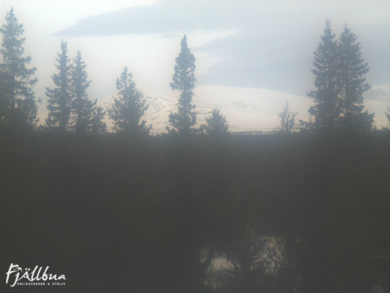 Fjällbua webcam 2025-03-27 12:30