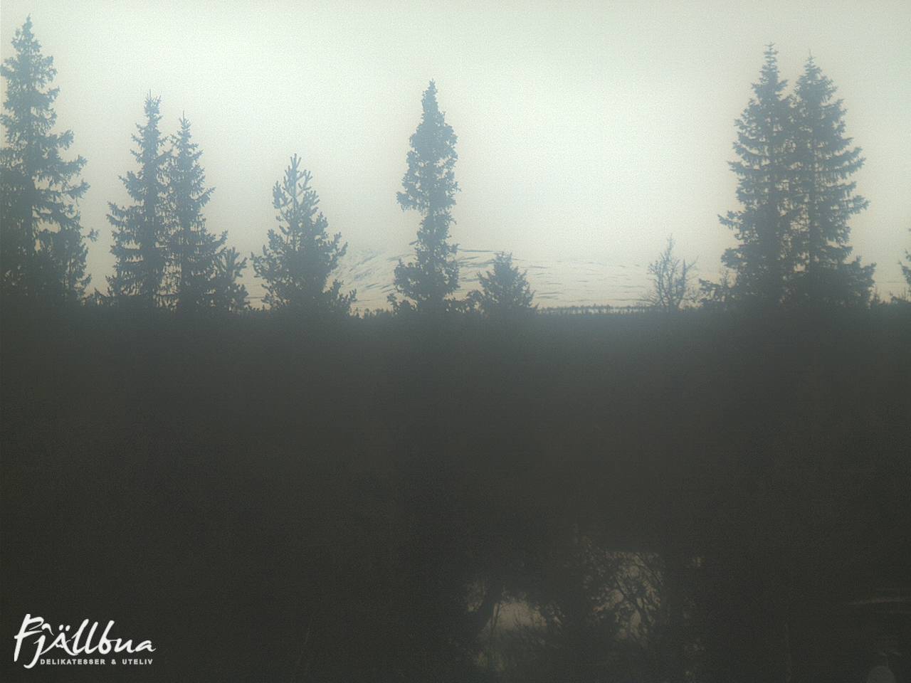 Fjällbua webcam 2025-03-28 11:30