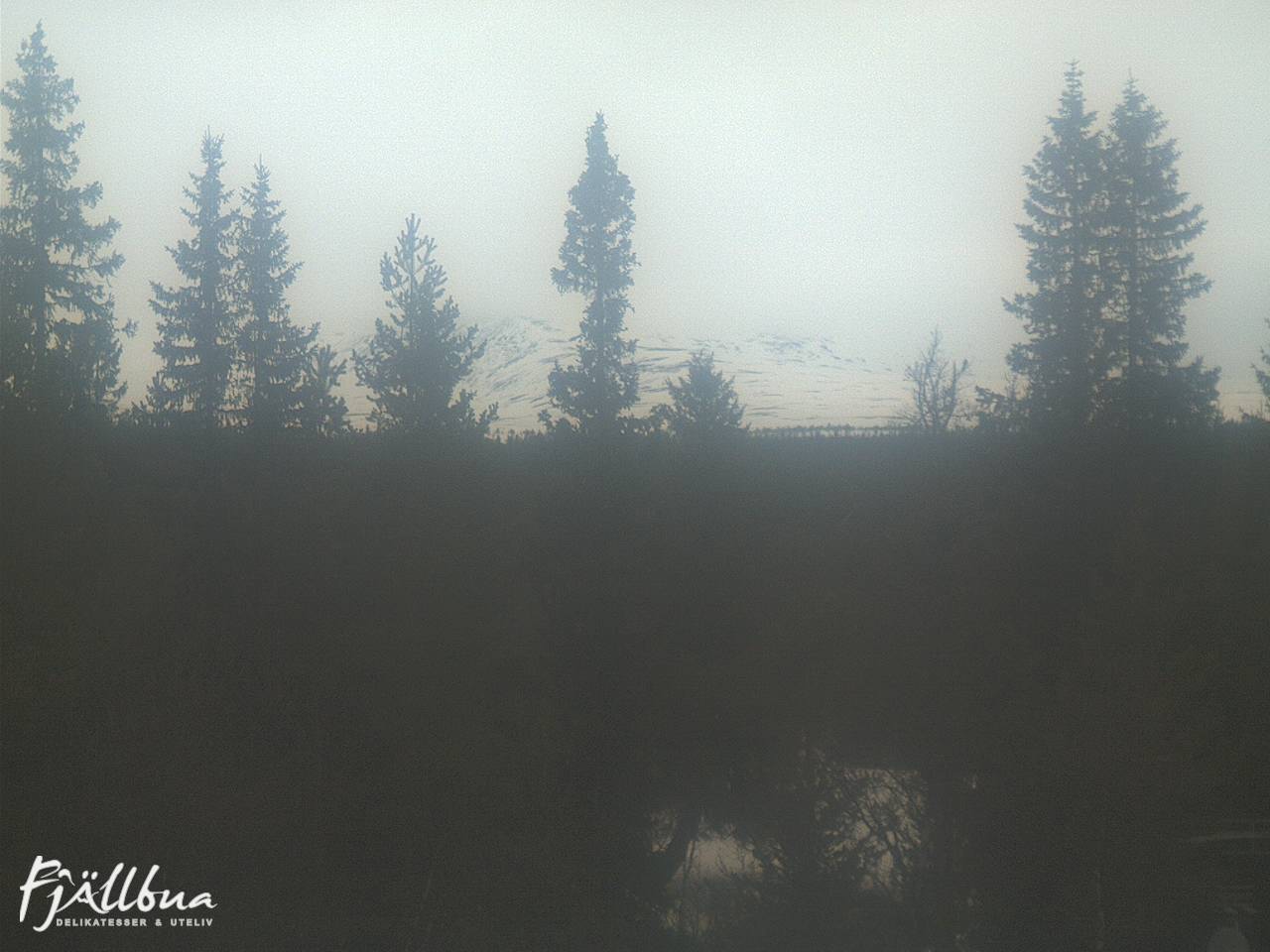 Fjällbua webcam 2025-03-28 12:30