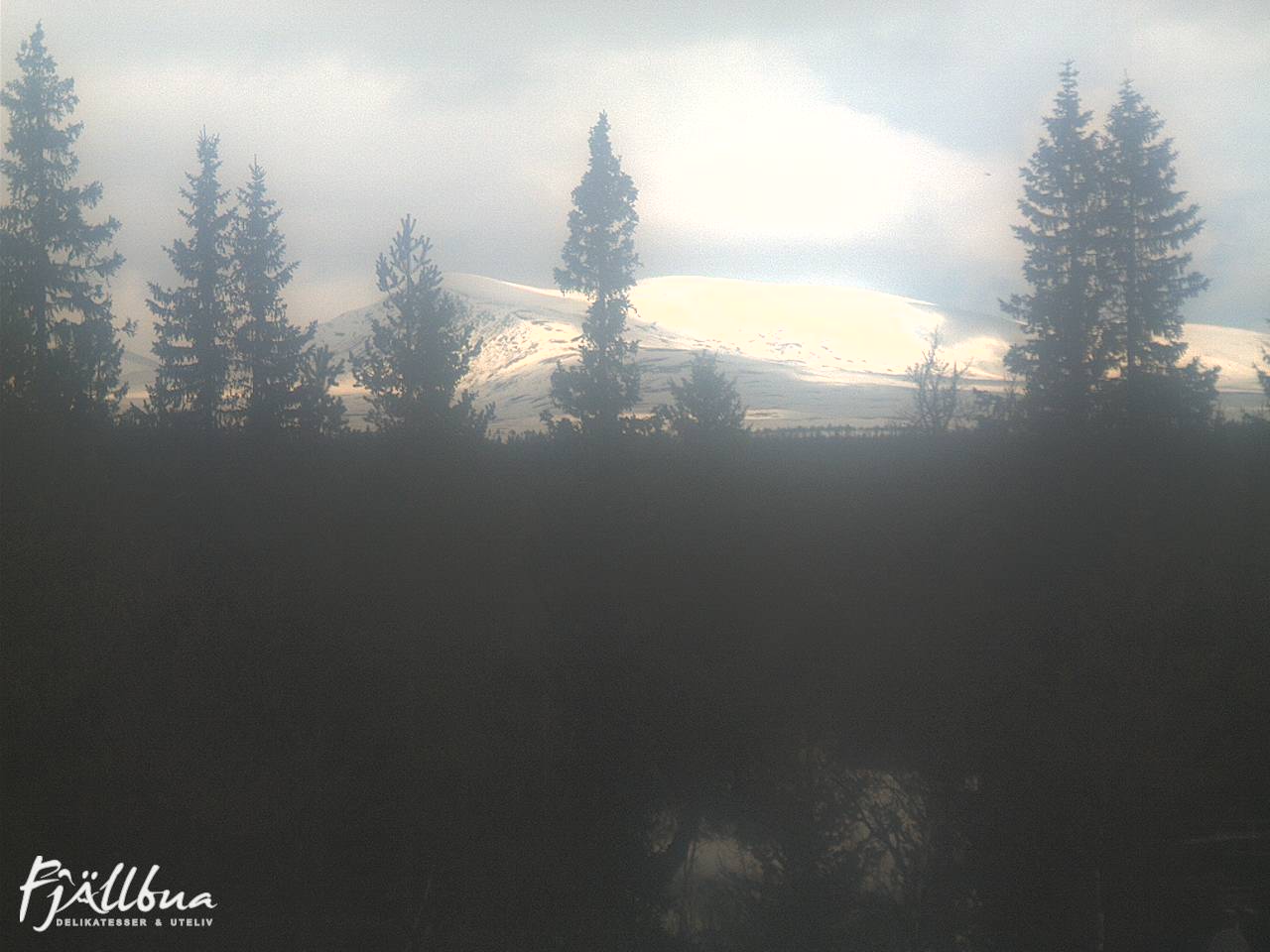 Fjällbua webcam 2025-03-29 09:00