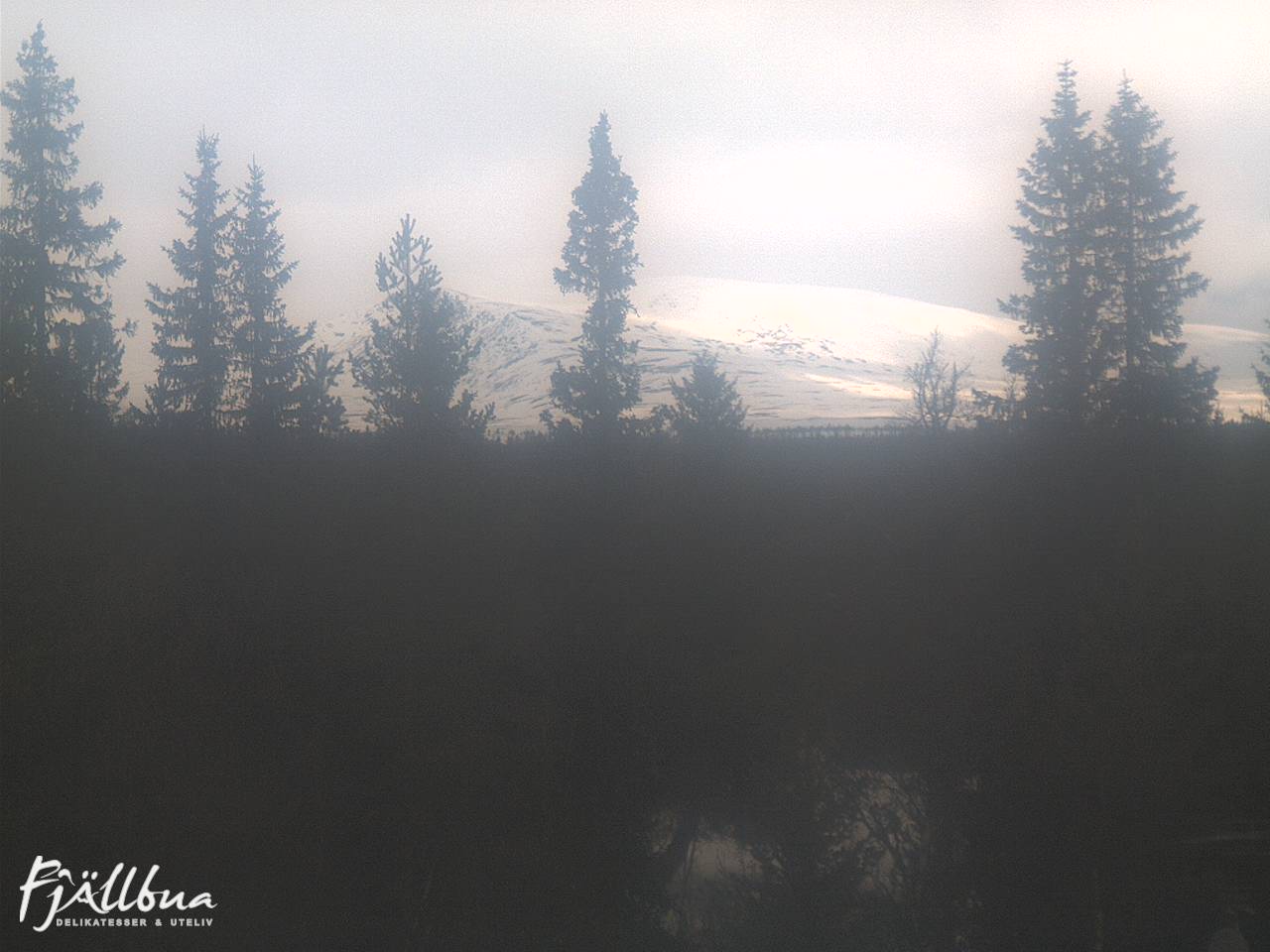 Fjällbua webcam 2025-03-29 09:30