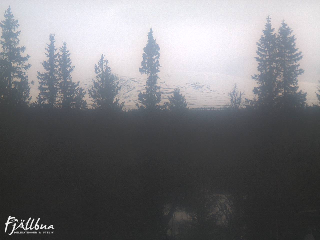 Fjällbua webcam 2025-03-29 10:30