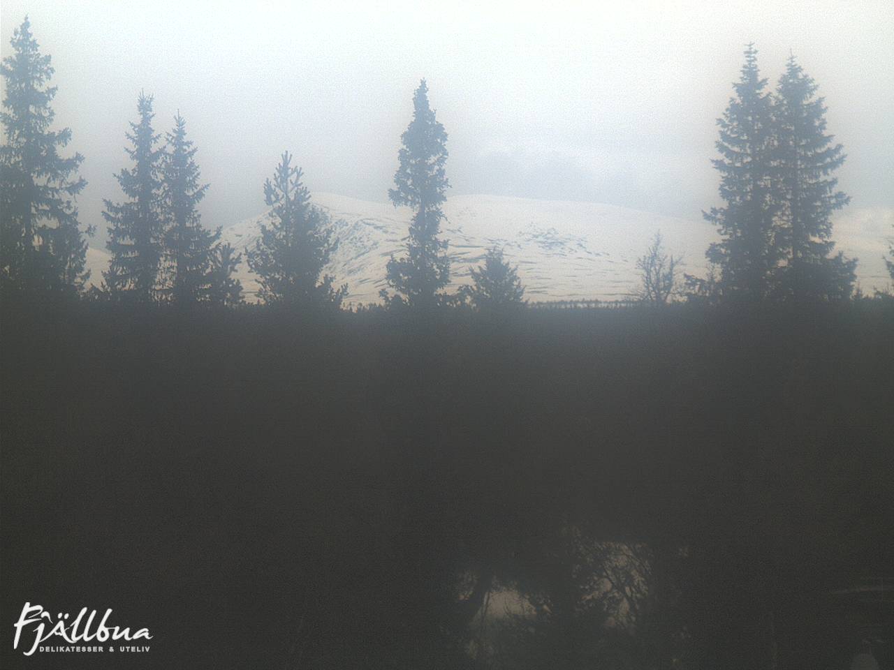 Fjällbua webcam 2025-03-29 11:00