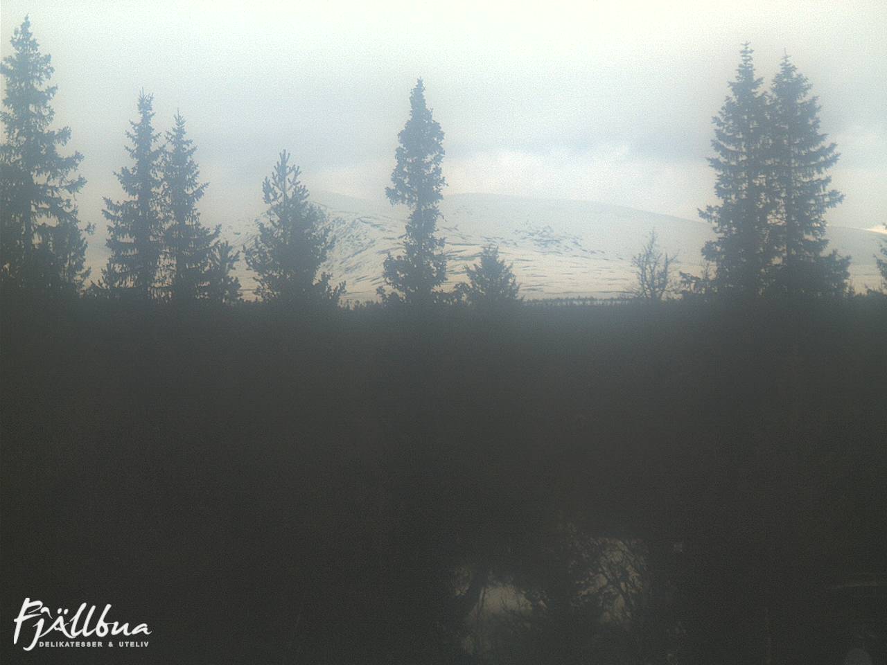 Fjällbua webcam 2025-03-29 11:30