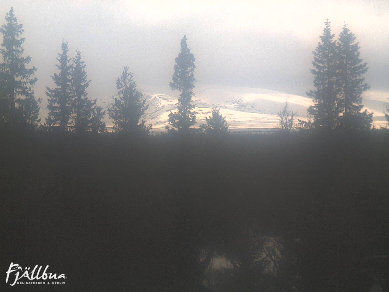 Fjällbua webcam 2025-03-29 12:00