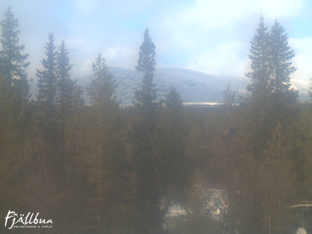 Fjällbua webcam 2025-03-29 14:00