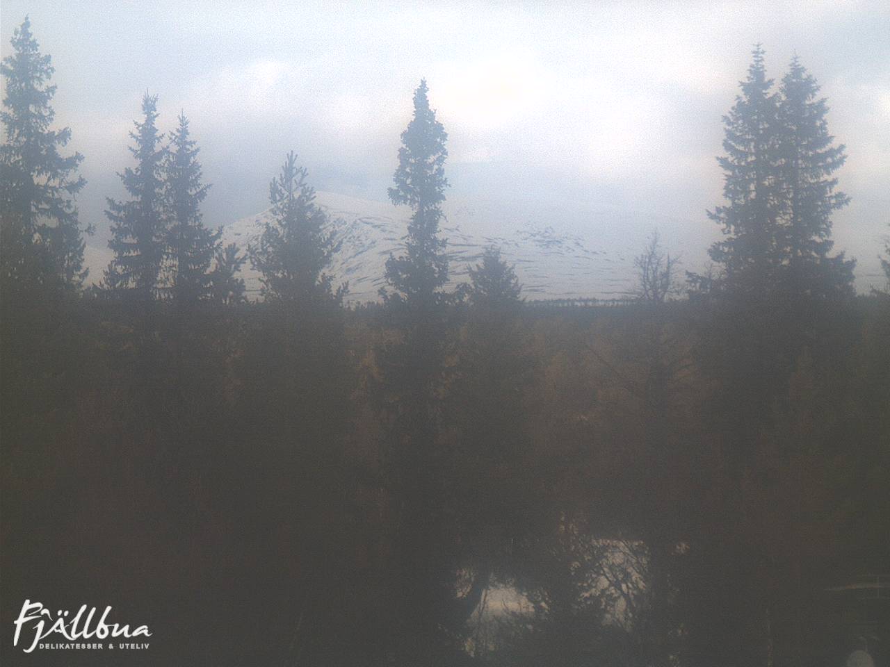 Fjällbua webcam 2025-03-29 15:00